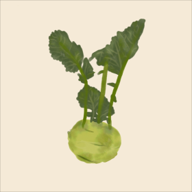 Kohlrabi