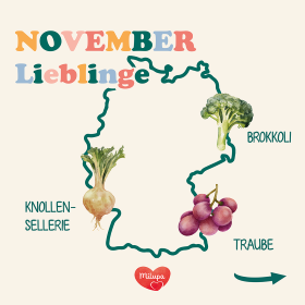 November Lieblinge